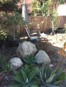 Boulders in the backyard