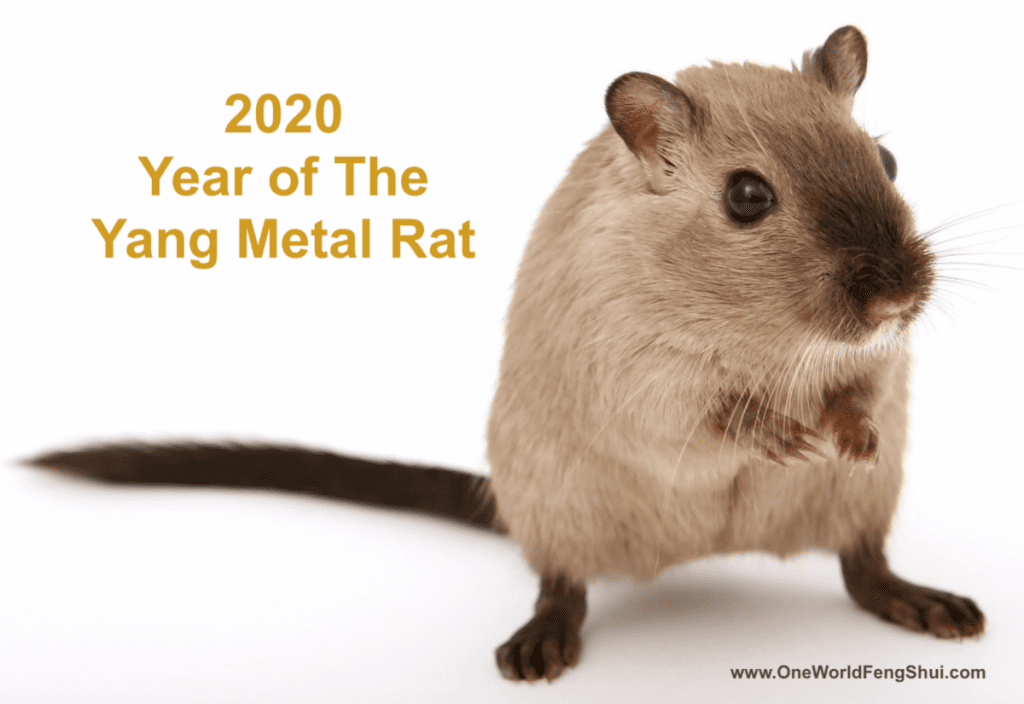 Year of the Yang Metal Rat