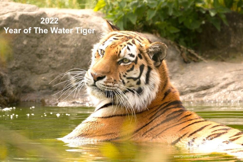 Feng Shui home decor and arrangement tips for Year of the Tiger 2022